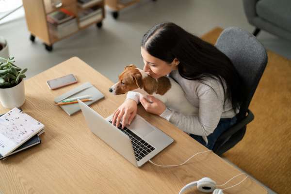 pet-friendly-workplace