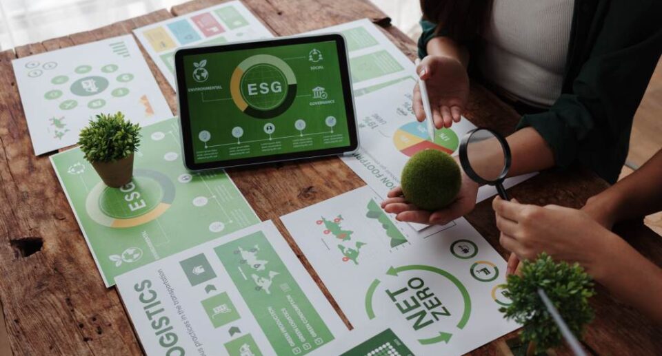 The Rise of Sustainability in Marketing: How Green Marketing is Becoming the New Norm