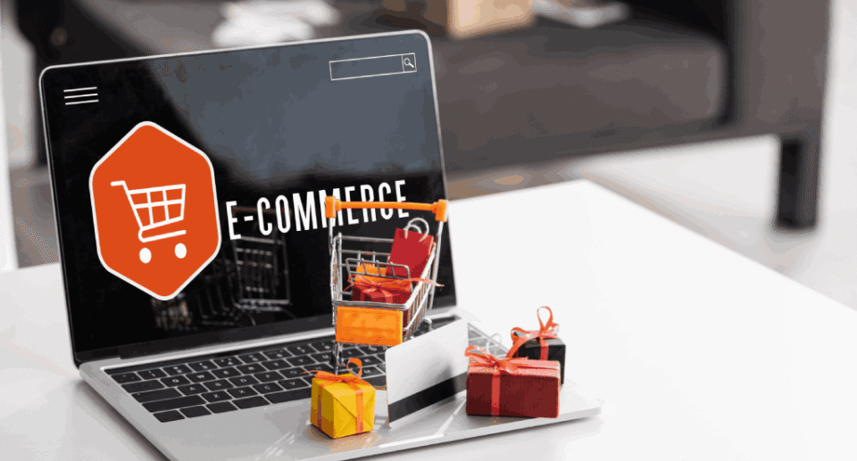 Which SEO Strategies Deliver the Best ROI for E-commerce Websites?