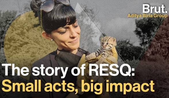 Production and creative supervision